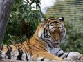 ZOO-Viden 24 srpen 2014 092.JPG